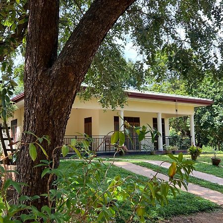 Green Haven Holiday Home Anuradhapura Εξωτερικό φωτογραφία