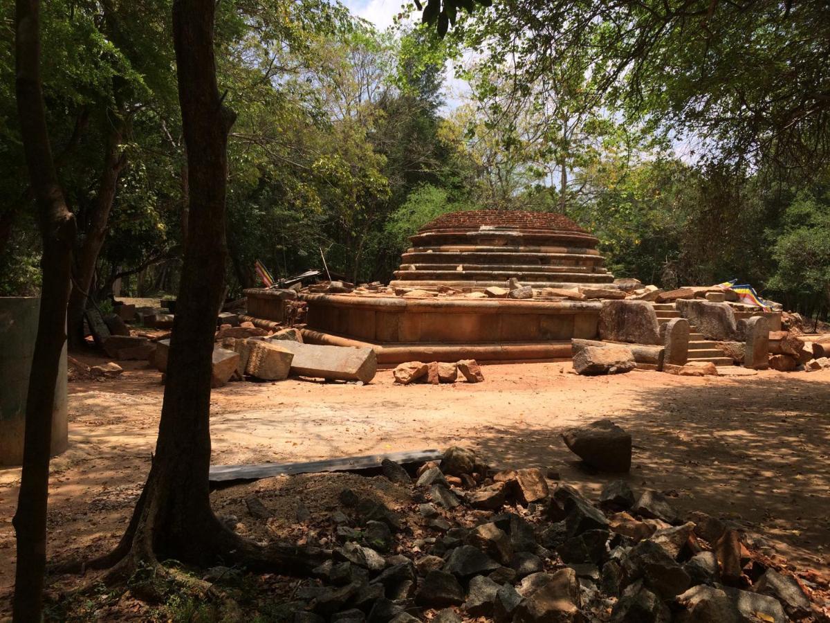 Green Haven Holiday Home Anuradhapura Εξωτερικό φωτογραφία