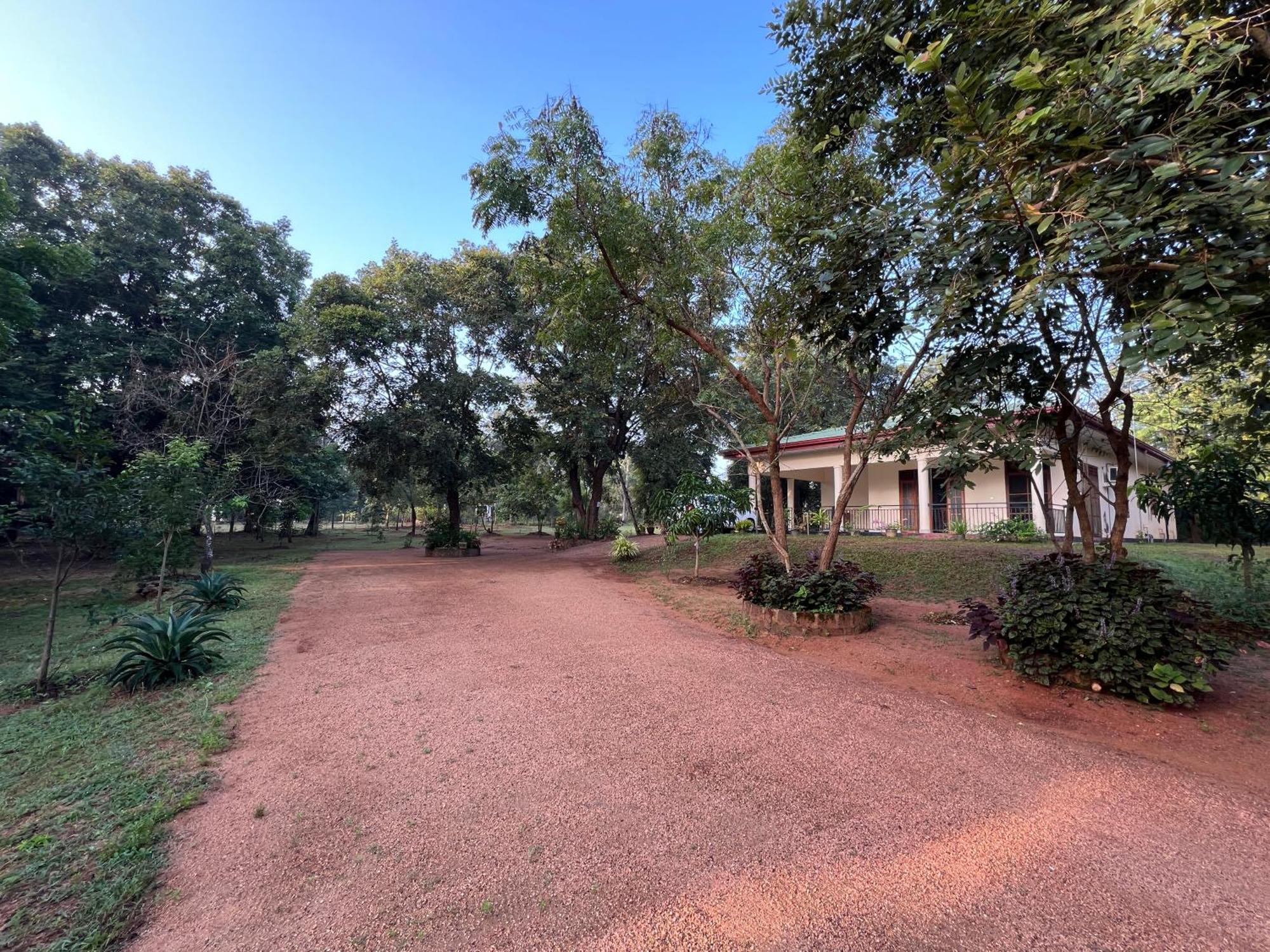 Green Haven Holiday Home Anuradhapura Εξωτερικό φωτογραφία