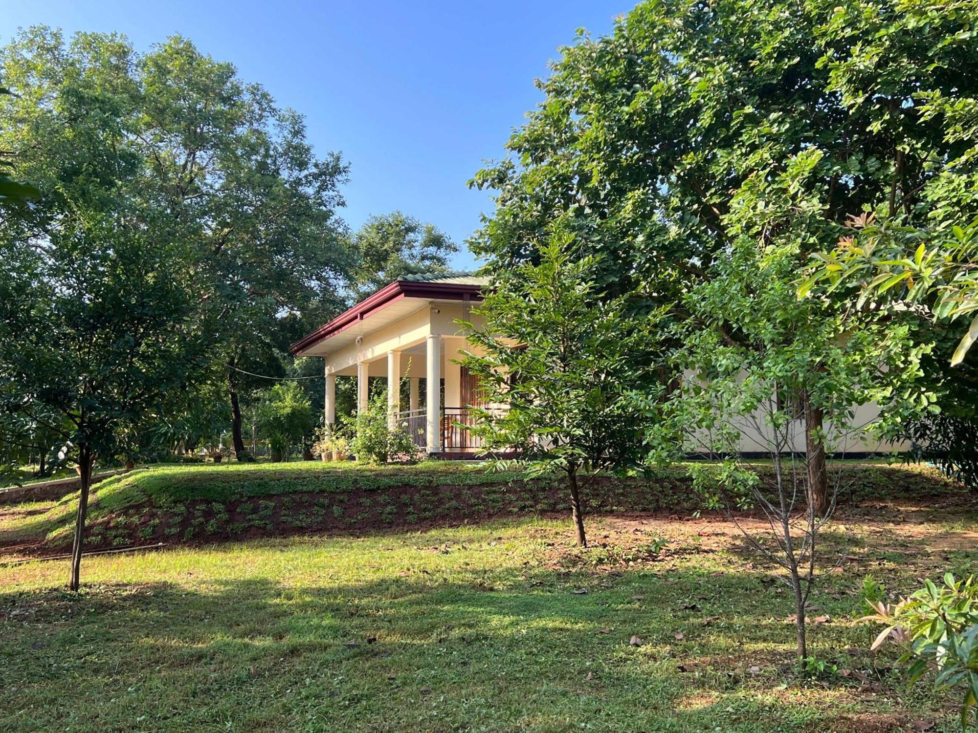 Green Haven Holiday Home Anuradhapura Εξωτερικό φωτογραφία