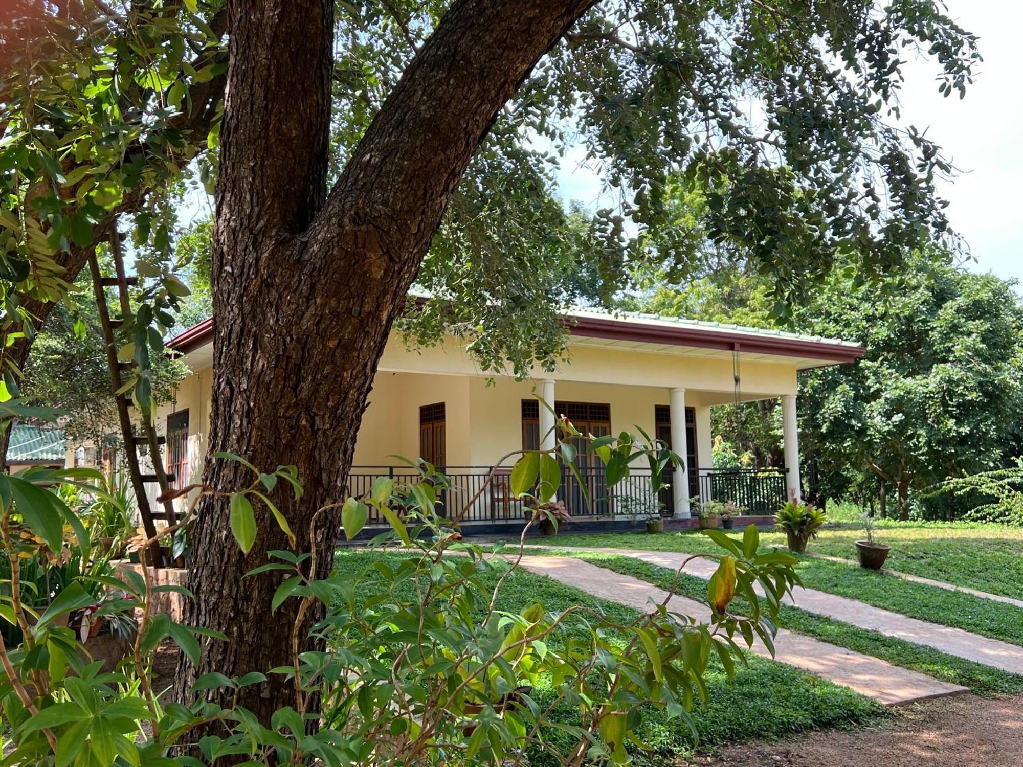 Green Haven Holiday Home Anuradhapura Εξωτερικό φωτογραφία